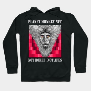 Planet Monkey NFT Not Bored Apes Hoodie